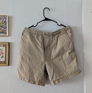 American Eagle Outfitters Men's Khaki Shorts